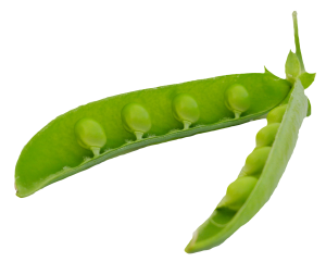 Green-Peas-Pods-PNG-image