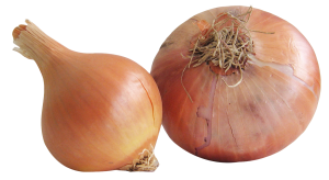 Onion-PNG-Image1