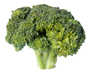Broccoli-PNG-Image1
